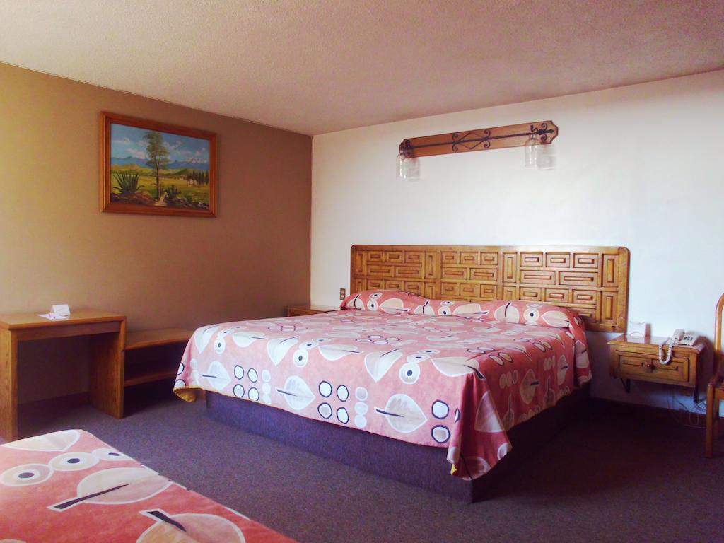 Hotel La Posada Apizaco Bilik gambar