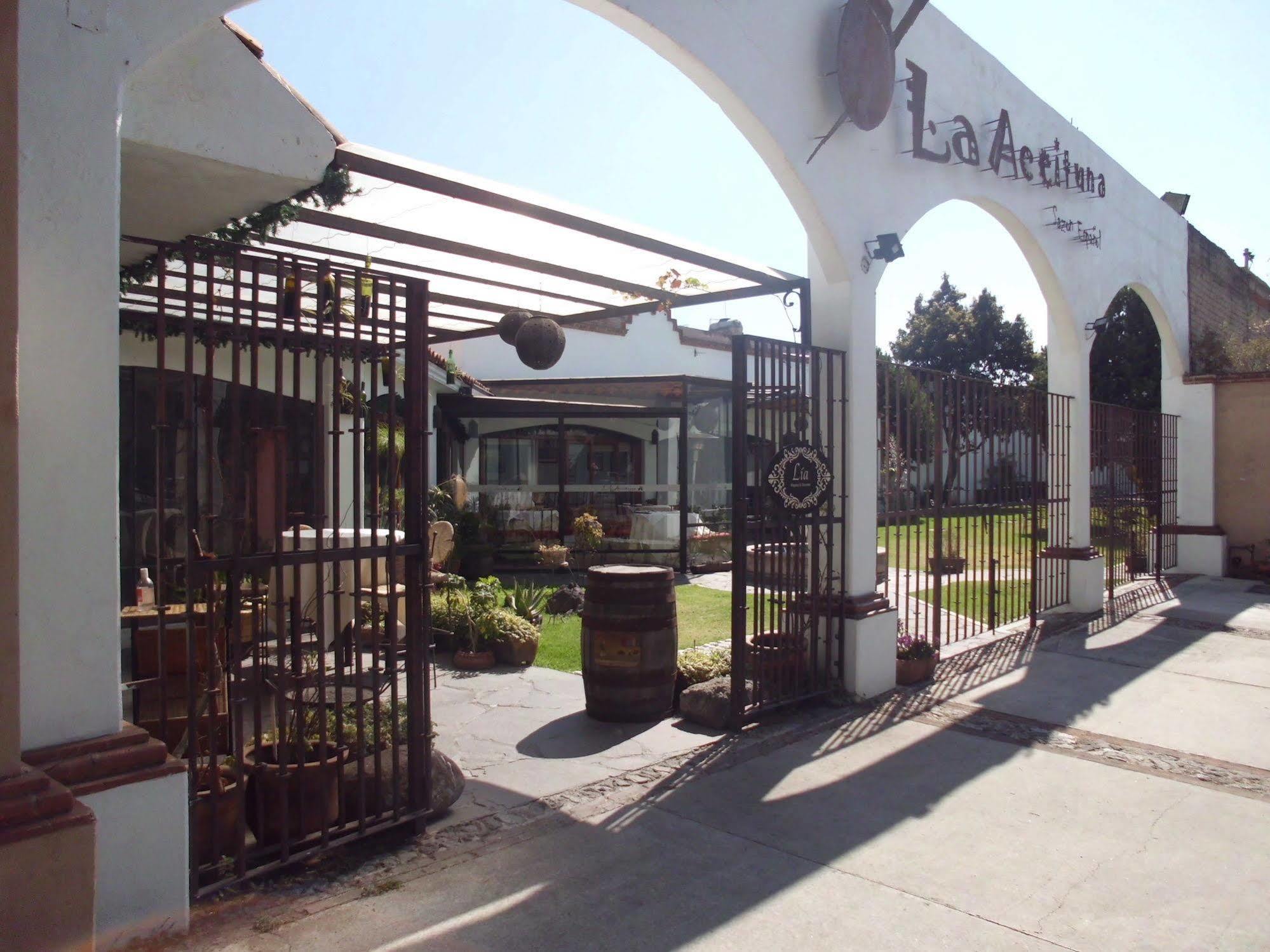 Hotel La Posada Apizaco Luaran gambar